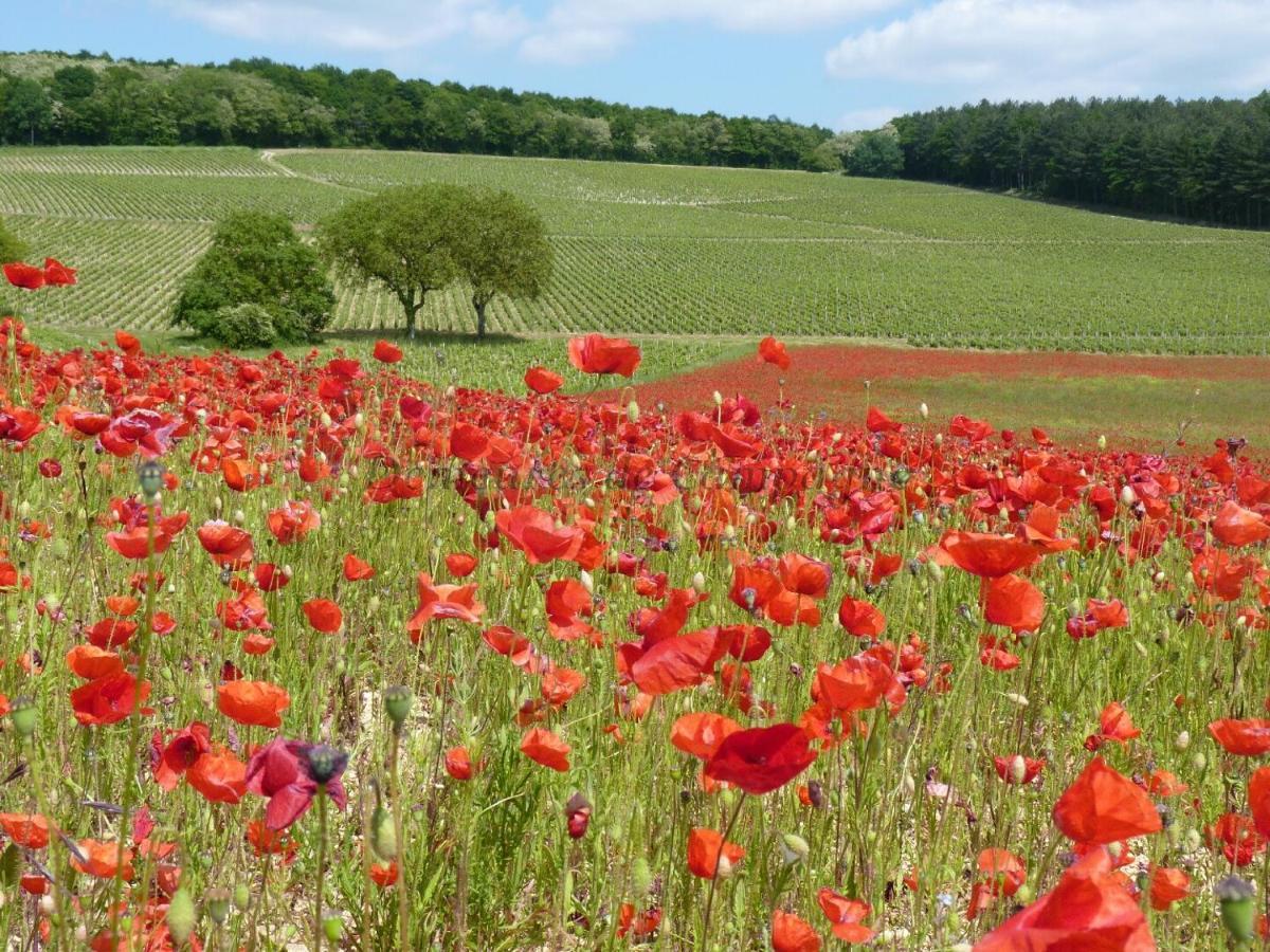 Maison Les Fossiles Sancerre Dış mekan fotoğraf